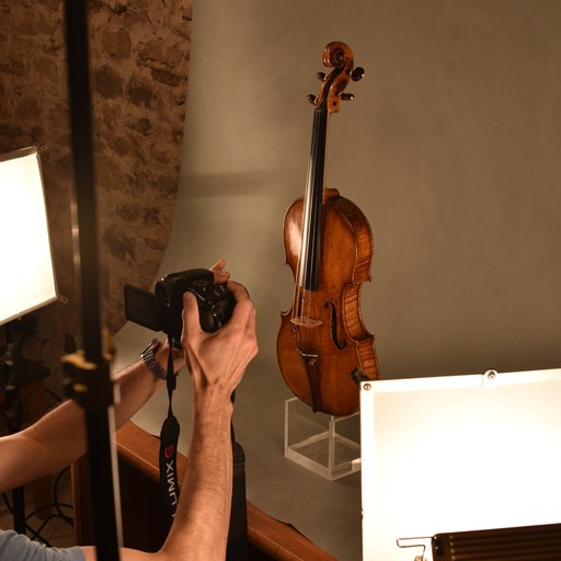 Guarneri Project