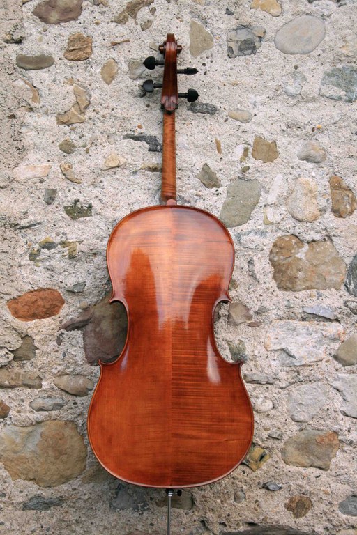 Cello "Homage an die Freundschaft"