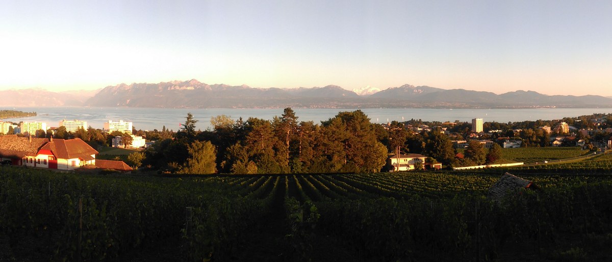 Morges - Eine Perle am Genfer See