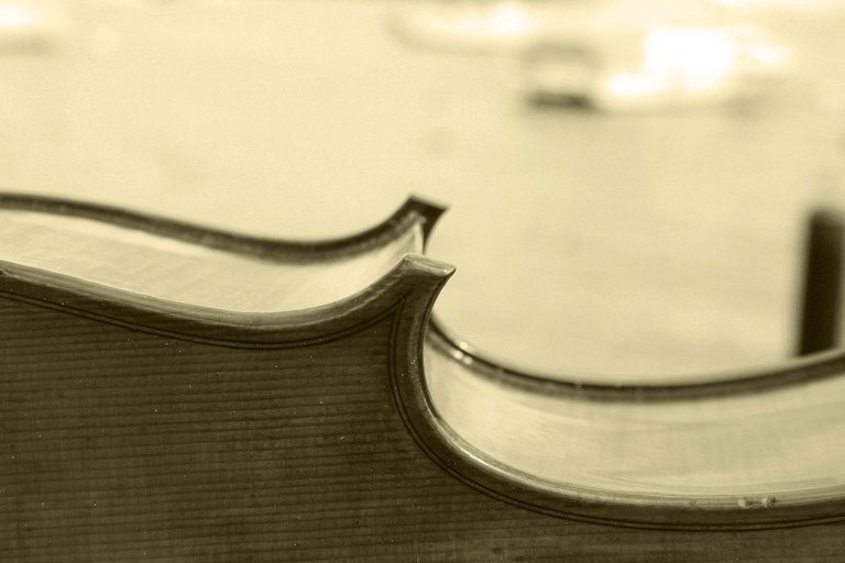 Cello Detail