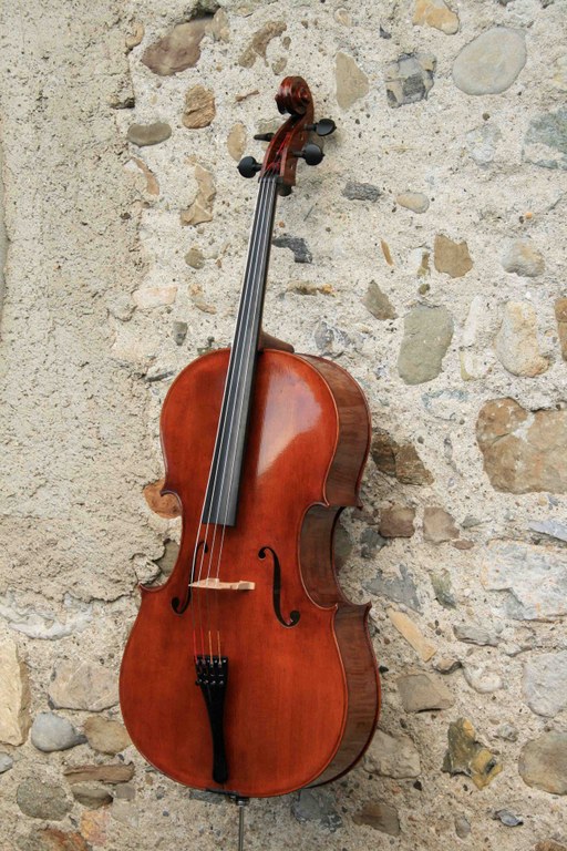 Cello "Homage an die Freundschaft"