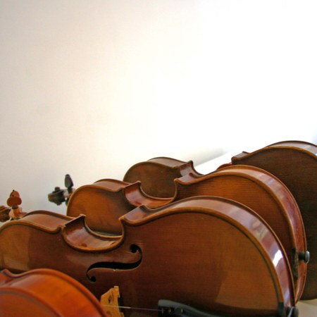 Violon